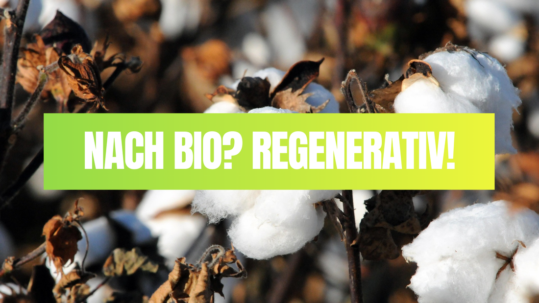 Nach Bio? Regenerativ!