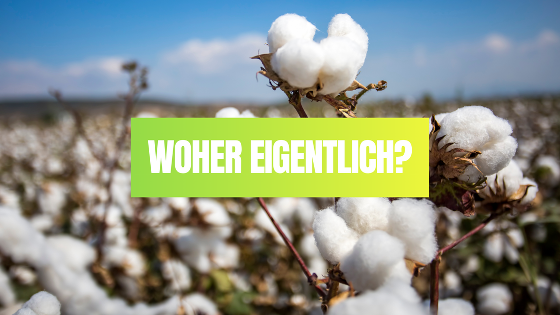 Aktuell: Woher?